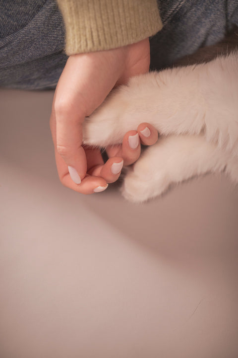 【從香丘——到毛丘】  | 人寵友善護理品牌