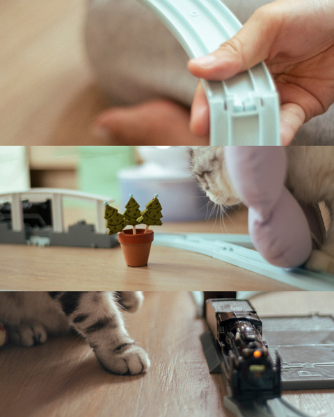 【2025冬日禮品系列｜「森林尋香」聖誕福袋禮盒】