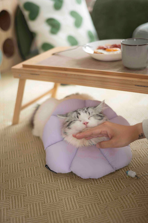 【2025冬日禮品系列｜⁠⁠冬至線香】