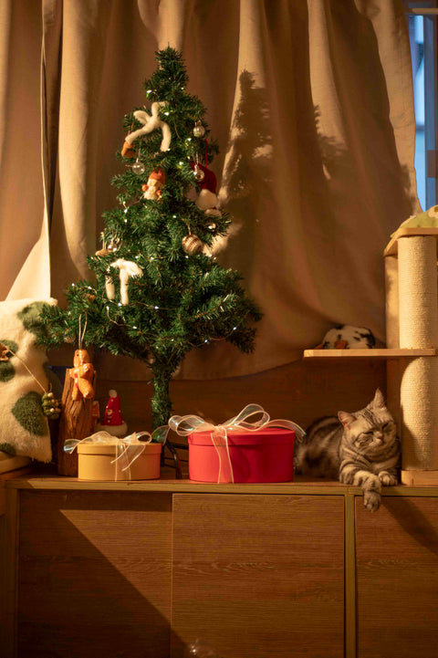 【2025冬日禮品系列｜聖誕火柴香】